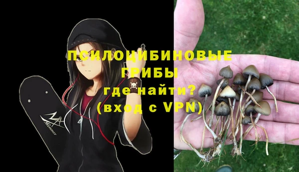 дживик Алексеевка