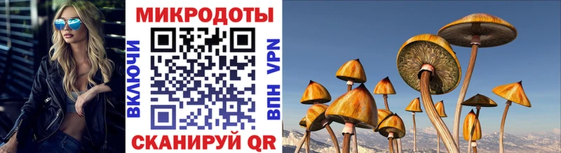 Галлюциногенные грибы ЛСД Ефремов