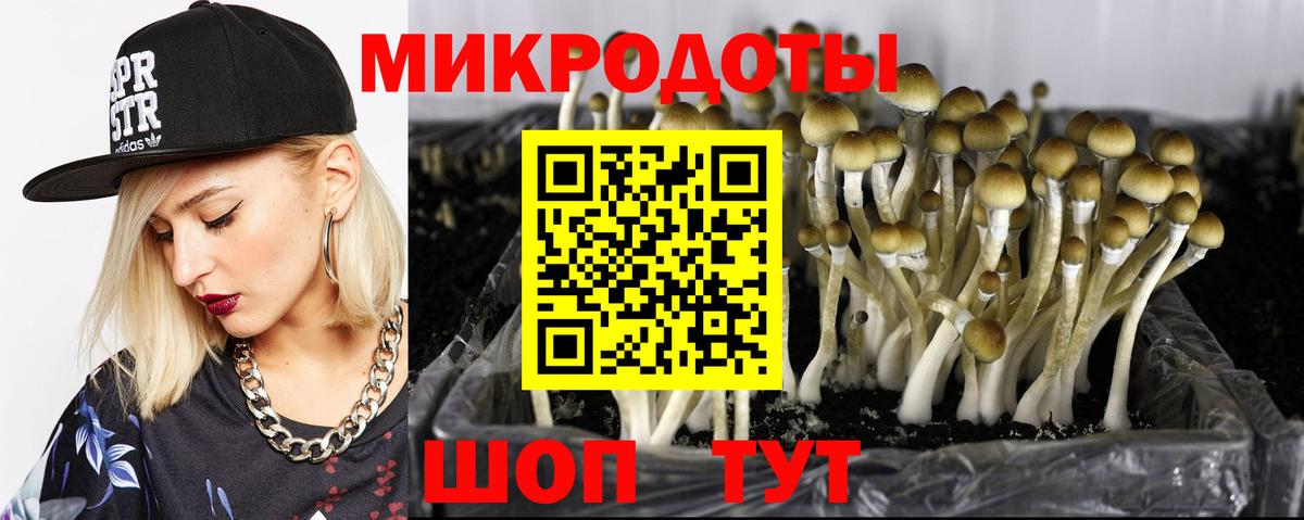 Галлюциногенные грибы Magic Shrooms  Псилоцибиновые грибы Cubensis  Ефремов  Вход с VPN 
